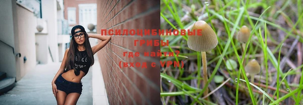 Альфа ПВП Аркадак