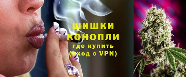 Альфа ПВП Аркадак